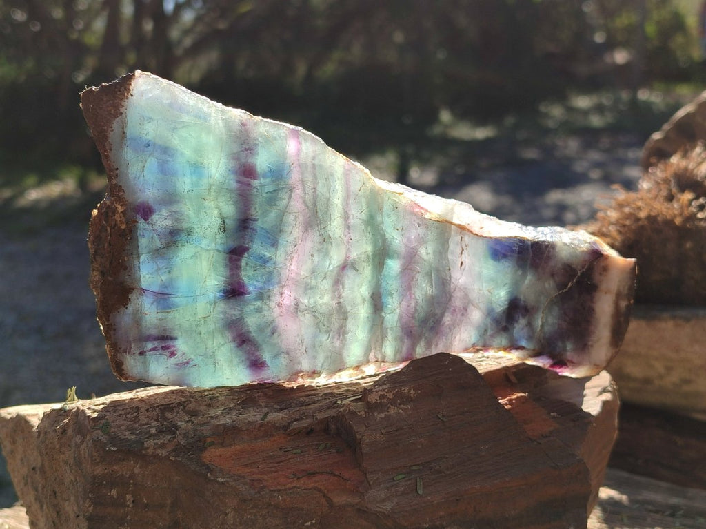 Polished Translucent Watermelon Fluorite Slice x 1 From Uis, Namibia