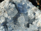 Natural Large Blue Celestite Specimen x 1 From Sakoany Madagascar