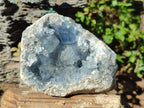 Natural Large Blue Celestite Specimen x 1 From Sakoany Madagascar