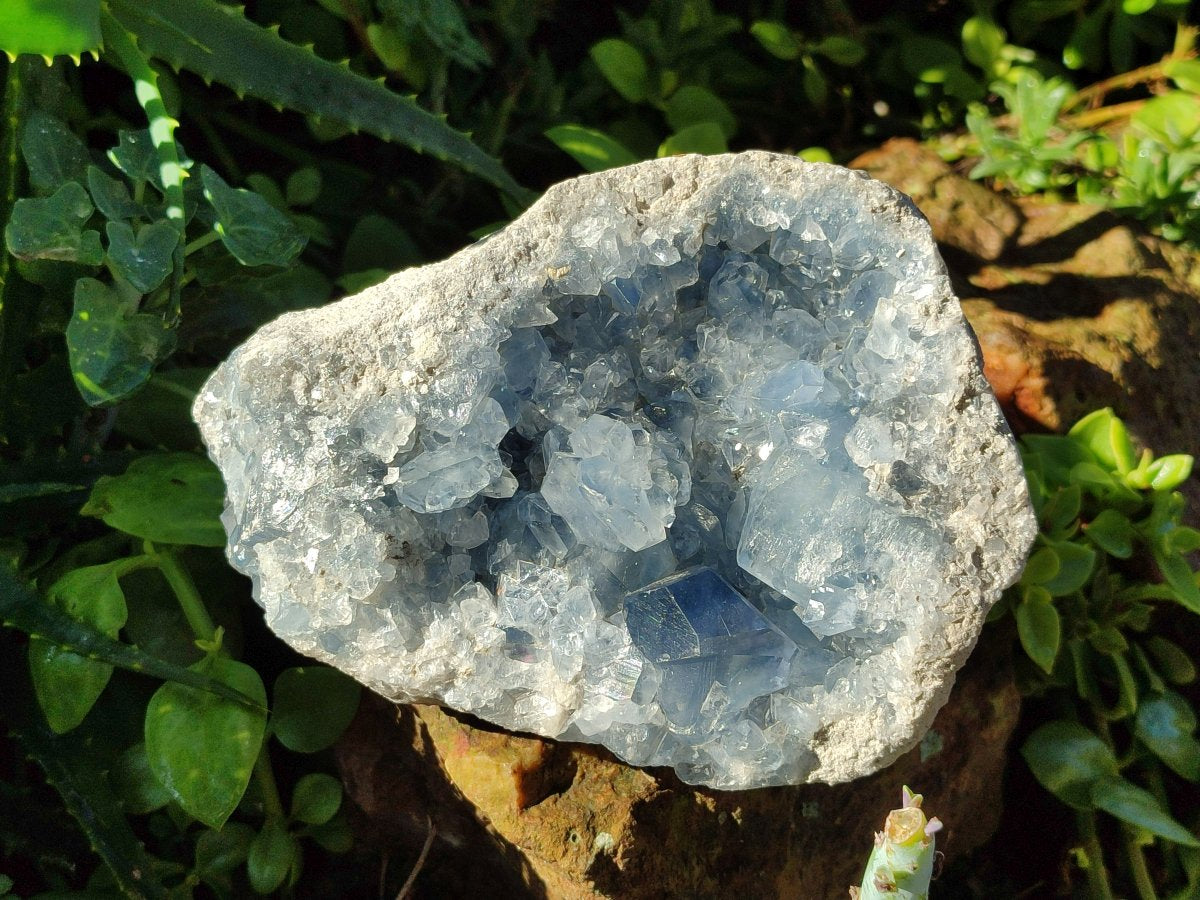 Natural Large Blue Celestite Specimen x 1 From Sakoany Madagascar
