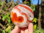 Polished Banded Carnelian Gemstone Sphere with Wooden Stand x 1 From Madagascar
