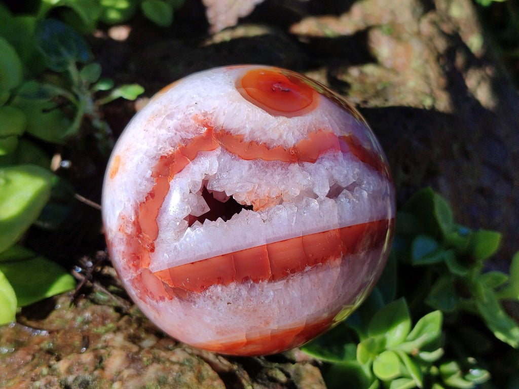 Polished Banded Carnelian Gemstone Sphere with Wooden Stand x 1 From Madagascar