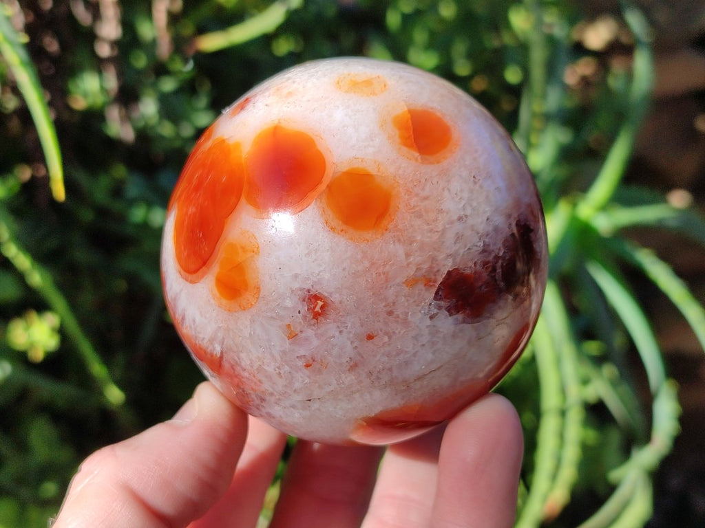 Polished Banded Carnelian Gemstone Sphere with Wooden Stand x 1 From Madagascar