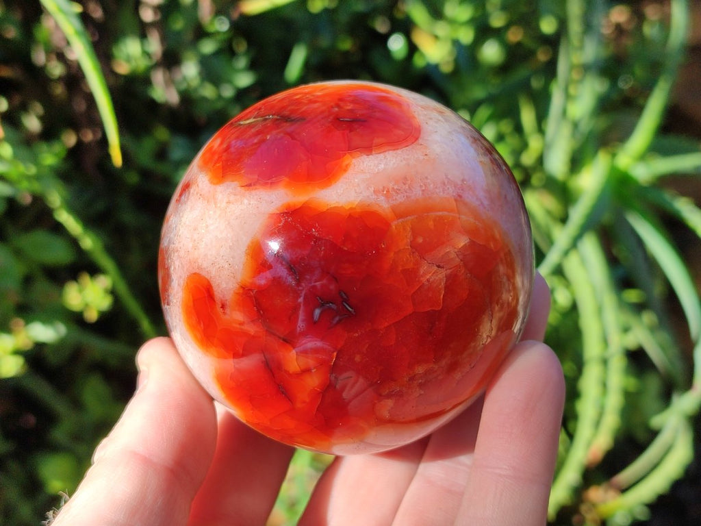 Polished Banded Carnelian Gemstone Sphere with Wooden Stand x 1 From Madagascar