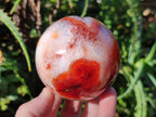 Polished Banded Carnelian Gemstone Sphere with Wooden Stand x 1 From Madagascar