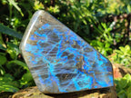 Polished Labradorite Standing Display Piece x 1 From Tulear, Madagascar