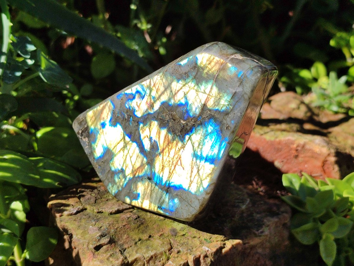 Polished Labradorite Standing Display Piece x 1 From Tulear, Madagascar