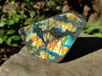 Polished Labradorite Standing Display Piece x 1 From Tulear, Madagascar