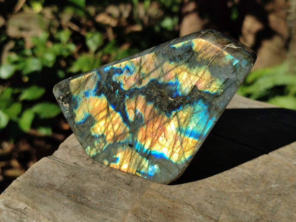 Polished Labradorite Standing Display Piece x 1 From Tulear, Madagascar