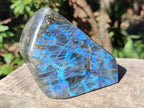 Polished Labradorite Standing Display Piece x 1 From Tulear, Madagascar