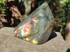 Polished Labradorite Standing Display Piece x 1 From Tulear, Madagascar