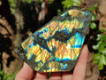 Polished Labradorite Standing Display Piece x 1 From Tulear, Madagascar