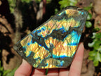 Polished Labradorite Standing Display Piece x 1 From Tulear, Madagascar