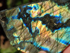 Polished Labradorite Standing Display Piece x 1 From Tulear, Madagascar