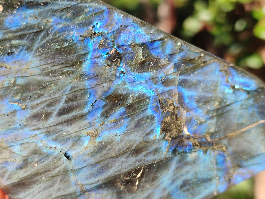 Polished Labradorite Standing Display Piece x 1 From Tulear, Madagascar