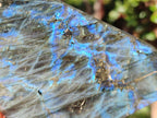 Polished Labradorite Standing Display Piece x 1 From Tulear, Madagascar