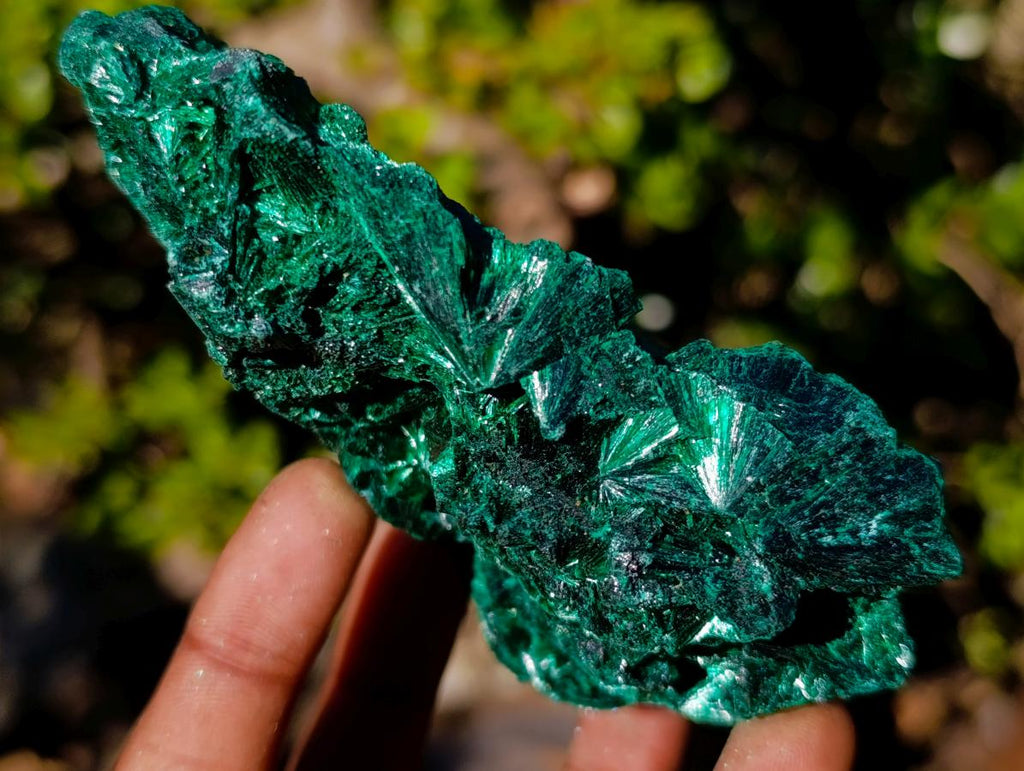 Natural Classic Silky Malachite Specimen x 1 From Kasompe, Congo
