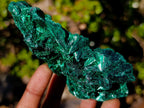 Natural Classic Silky Malachite Specimen x 1 From Kasompe, Congo