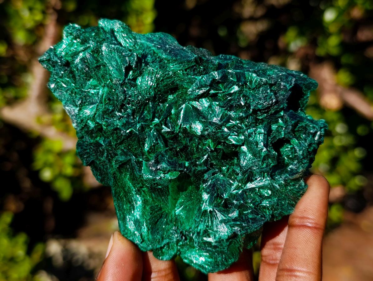 Natural Classic Silky Malachite Specimen x 1 From Kasompe, Congo