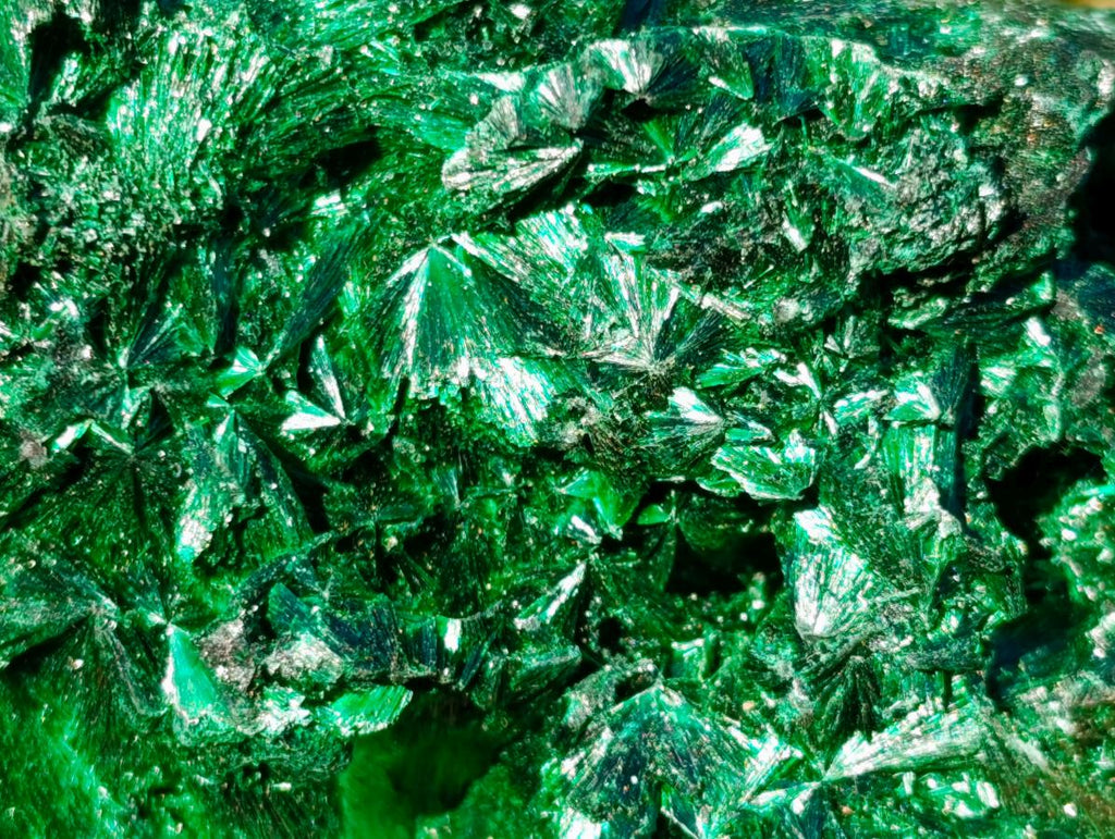Natural Classic Silky Malachite Specimen x 1 From Kasompe, Congo