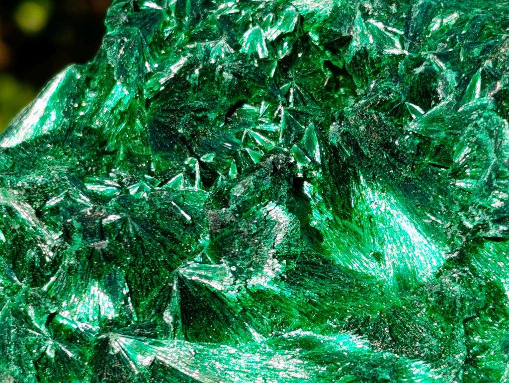 Natural Classic Silky Malachite Specimen x 1 From Kasompe, Congo