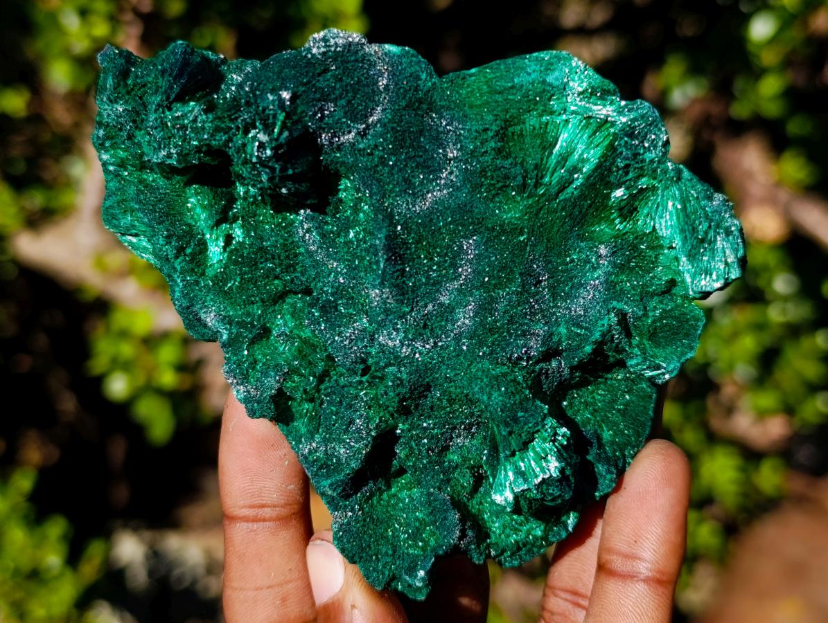 Natural Classic Silky Malachite Specimen x 1 From Kasompe, Congo