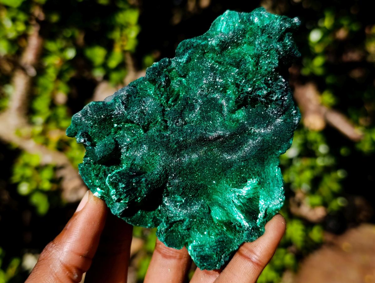 Natural Classic Silky Malachite Specimen x 1 From Kasompe, Congo