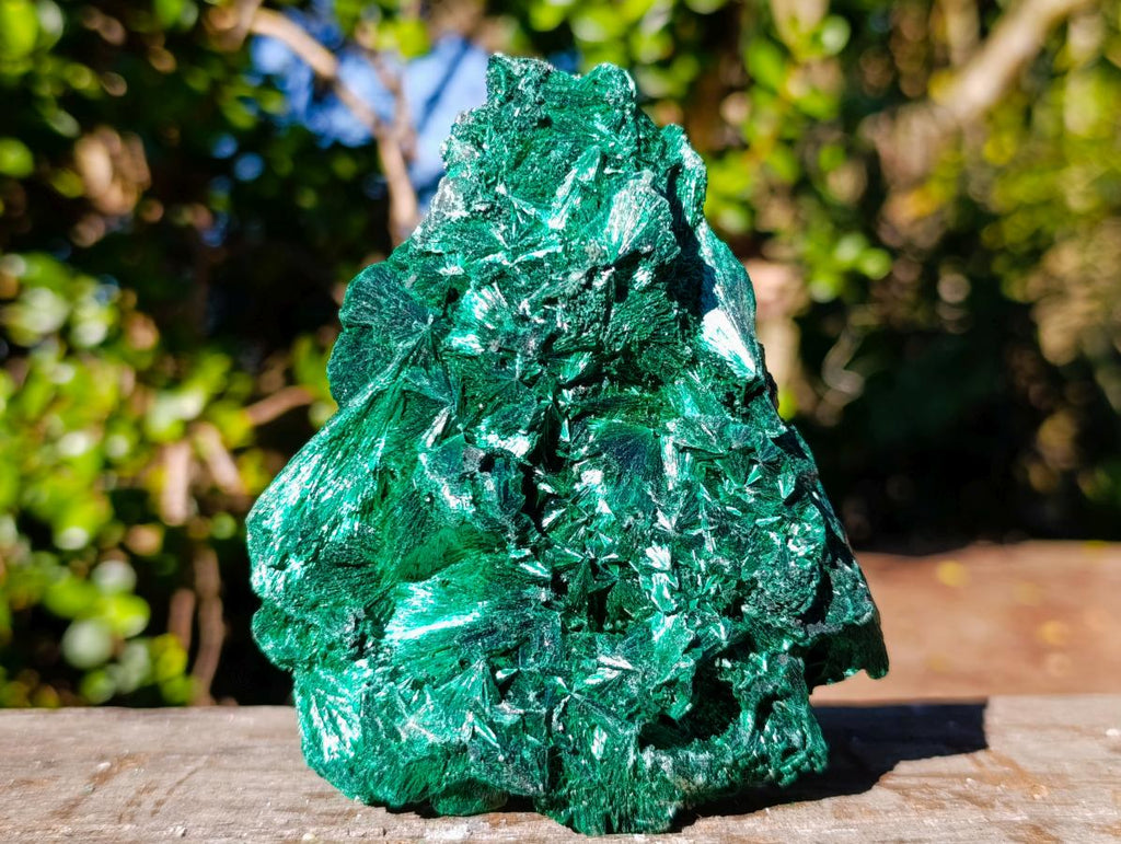 Natural Classic Silky Malachite Specimen x 1 From Kasompe, Congo
