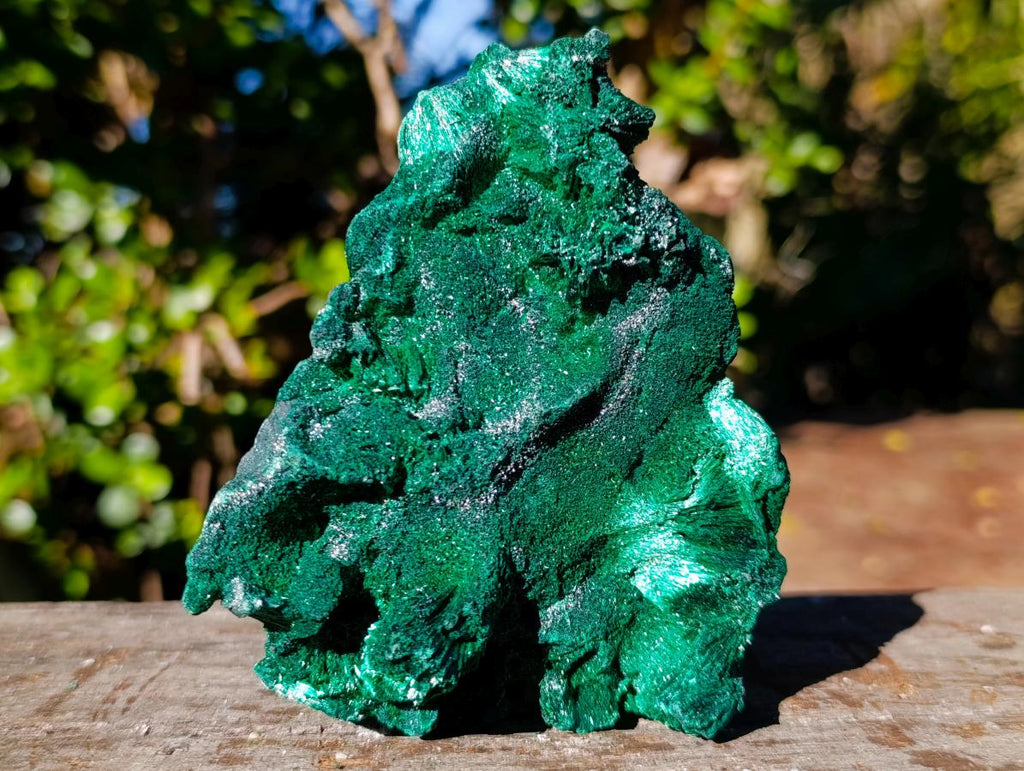 Natural Classic Silky Malachite Specimen x 1 From Kasompe, Congo
