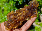 Natural Copal Amber with Insect Inclusions x 1 From Nosy Varika Madagascar