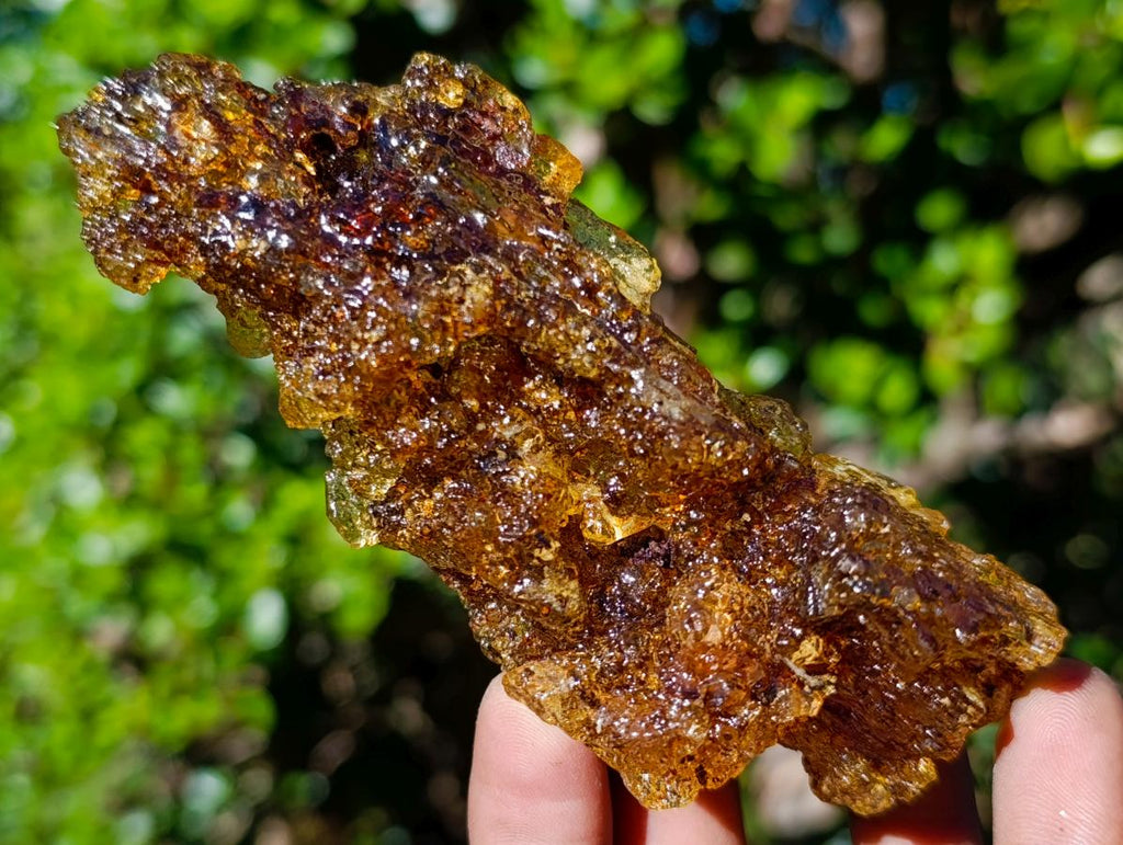 Natural Copal Amber with Insect Inclusions x 1 From Nosy Varika Madagascar