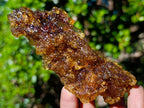 Natural Copal Amber with Insect Inclusions x 1 From Nosy Varika Madagascar