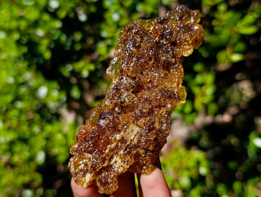 Natural Copal Amber with Insect Inclusions x 1 From Nosy Varika Madagascar