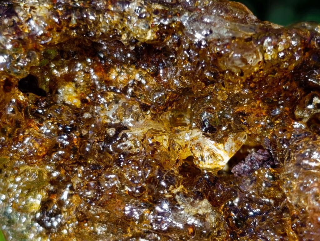 Natural Copal Amber with Insect Inclusions x 1 From Nosy Varika Madagascar