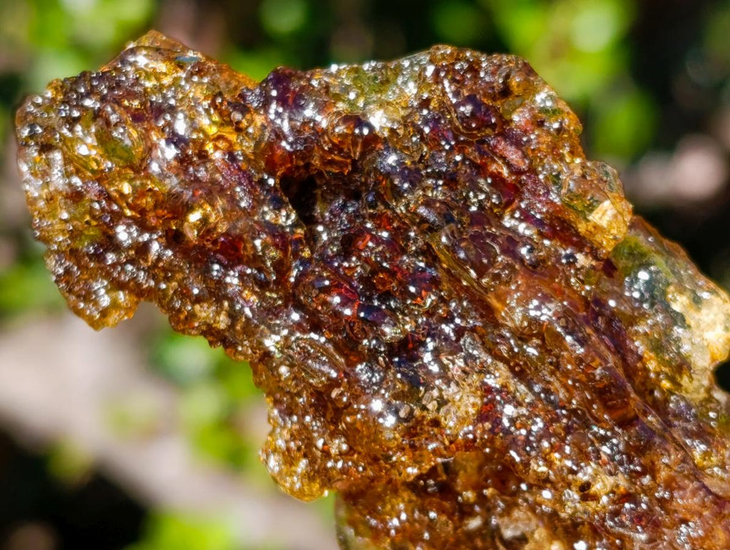 Natural Copal Amber with Insect Inclusions x 1 From Nosy Varika Madagascar