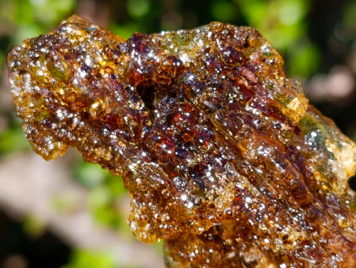 Natural Copal Amber with Insect Inclusions x 1 From Nosy Varika Madagascar