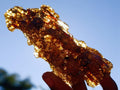 Natural Copal Amber with Insect Inclusions x 1 From Nosy Varika Madagascar