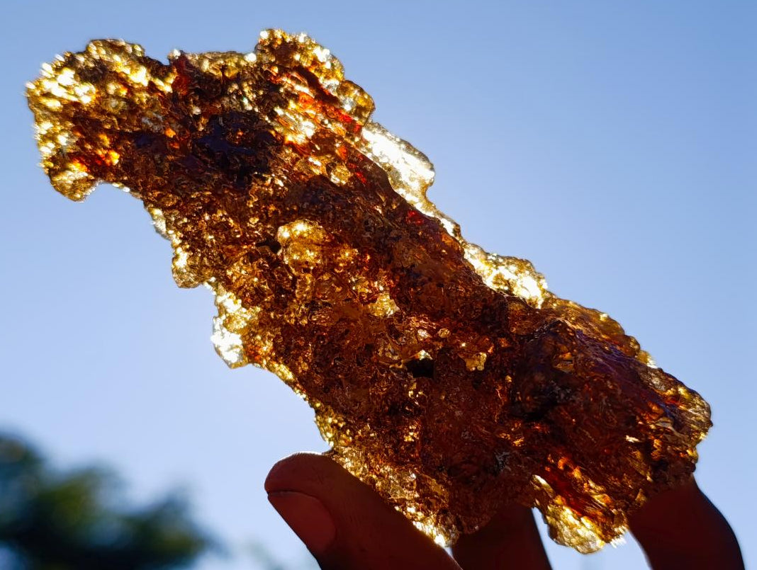 Natural Copal Amber with Insect Inclusions x 1 From Nosy Varika Madagascar