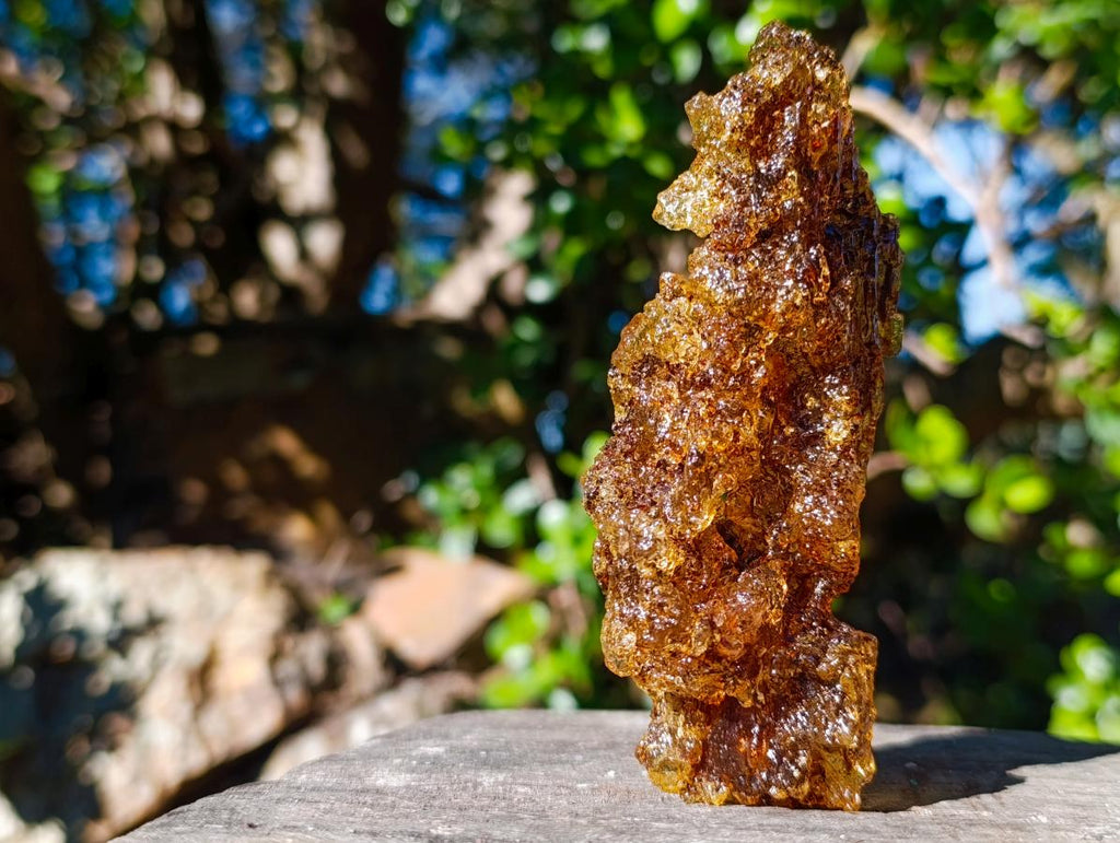 Natural Copal Amber with Insect Inclusions x 1 From Nosy Varika Madagascar
