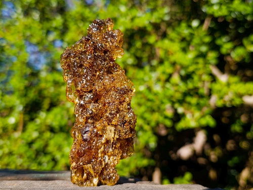Natural Copal Amber with Insect Inclusions x 1 From Nosy Varika Madagascar