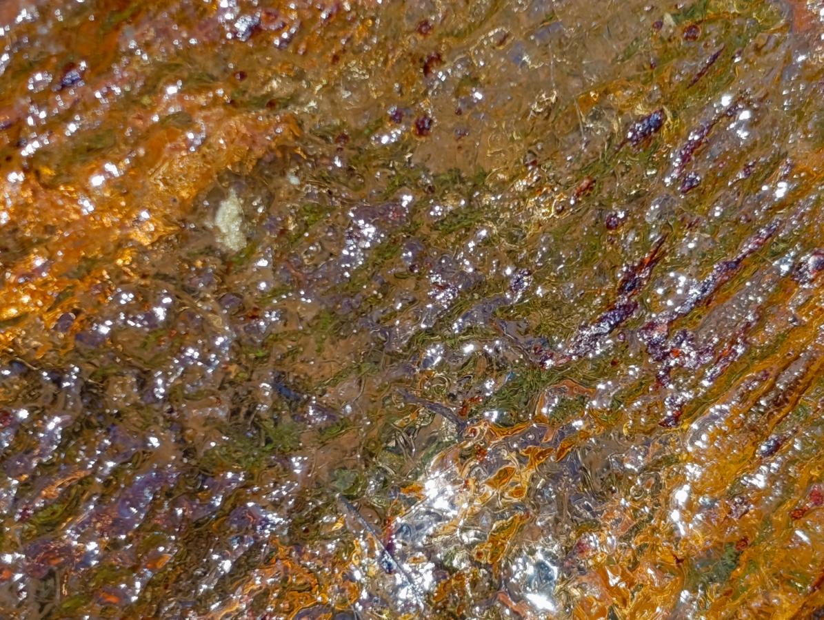 Natural Superb XL Copal Amber with Inclusions x 1 From Nosy Varika Madagascar