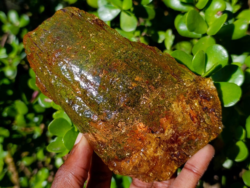 Natural Superb XL Copal Amber with Inclusions x 1 From Nosy Varika Madagascar