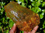 Natural Superb XL Copal Amber with Inclusions x 1 From Nosy Varika Madagascar