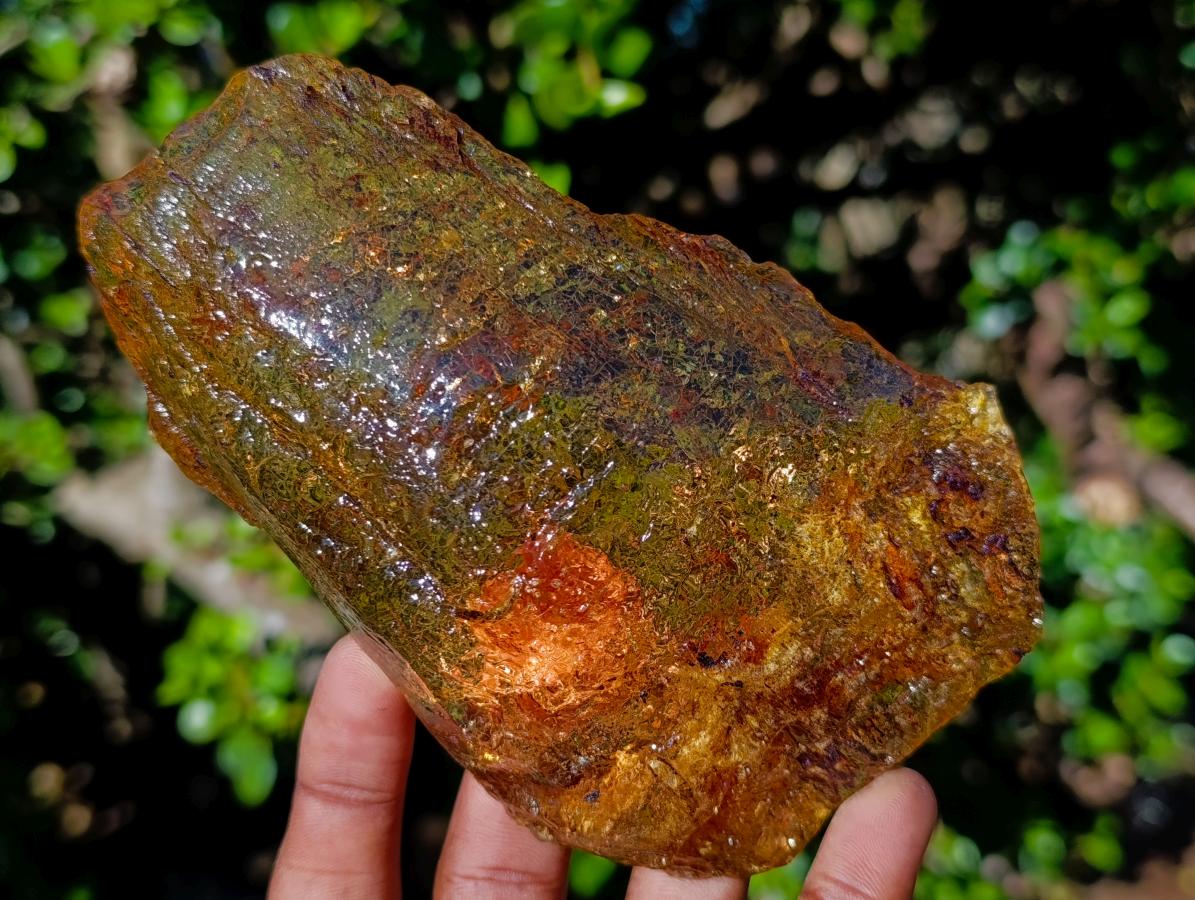 Natural Superb XL Copal Amber with Inclusions x 1 From Nosy Varika Madagascar
