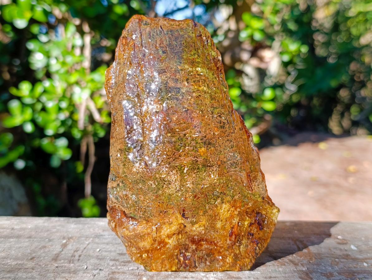 Natural Superb XL Copal Amber with Inclusions x 1 From Nosy Varika Madagascar