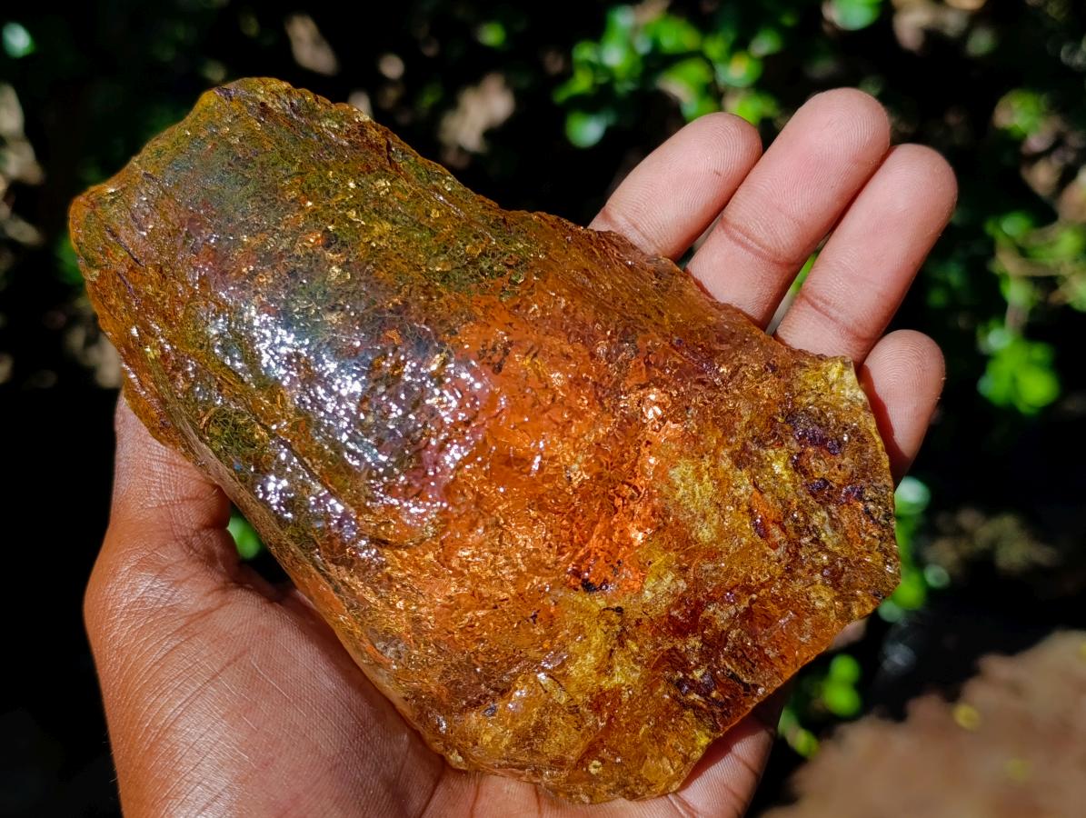 Natural Superb XL Copal Amber with Inclusions x 1 From Nosy Varika Madagascar