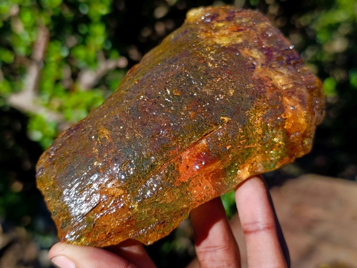 Natural Superb XL Copal Amber with Inclusions x 1 From Nosy Varika Madagascar