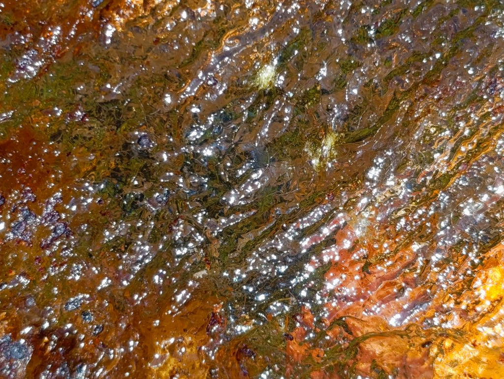Natural Superb XL Copal Amber with Inclusions x 1 From Nosy Varika Madagascar
