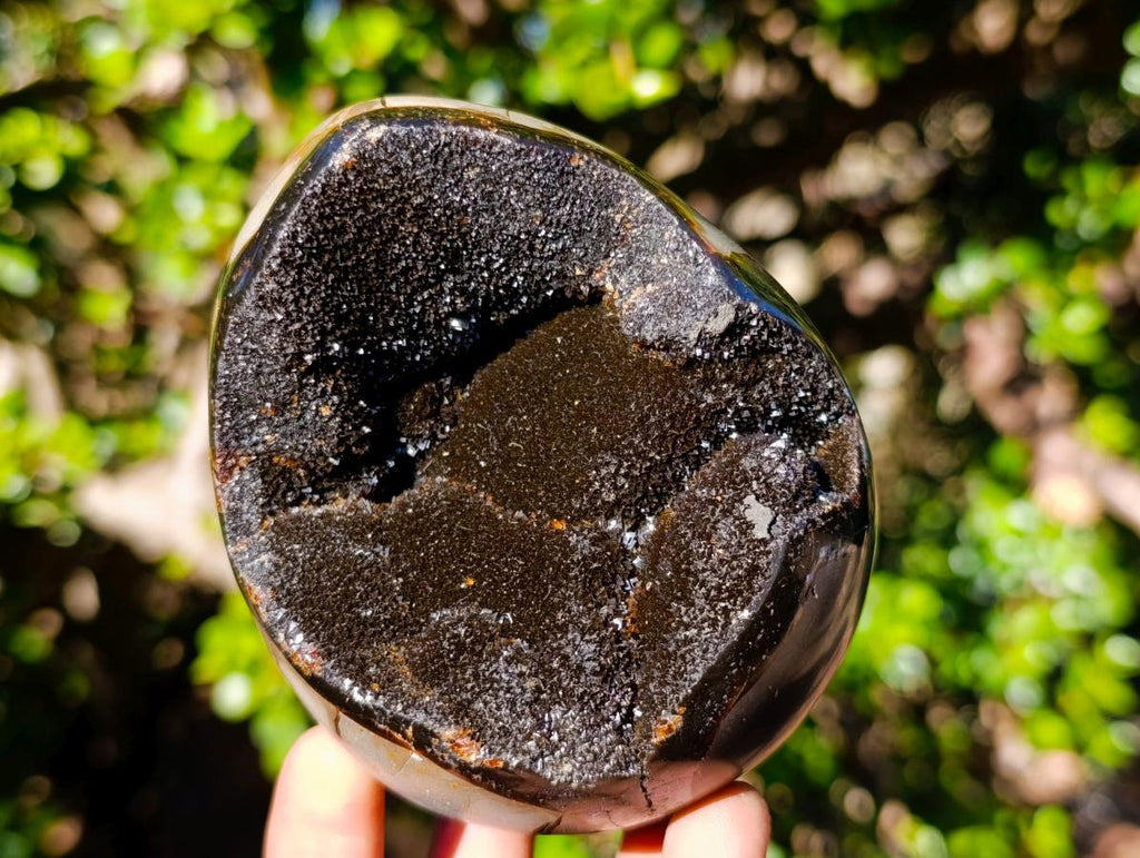 Polished Septerye Sauvage Dragons Egg x 1 From Mahajanga, Madagascar