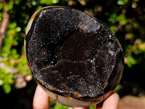 Polished Septerye Sauvage Dragons Egg x 1 From Mahajanga, Madagascar